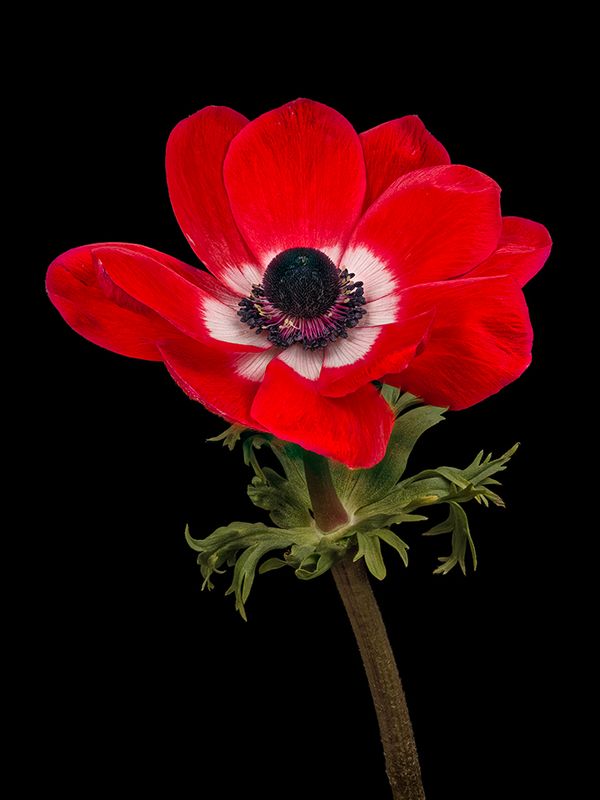 2025-03-22-10.49.17 ZS PMax_openWith.jpg