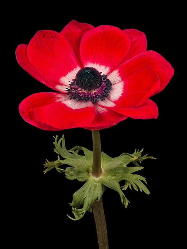 2025-03-23-14.51.41 ZS PMax_openWith.jpg
