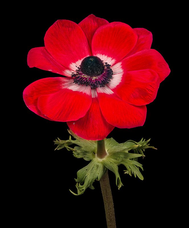 2025-03-23-15.43.06 ZS PMax_openWith.jpg