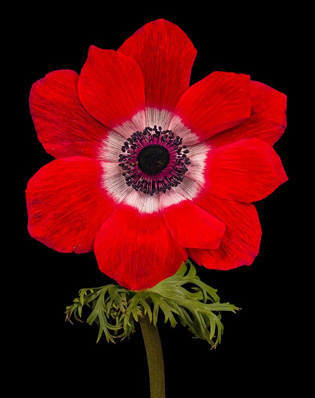 2025-03-23-16.21.21 ZS PMax_openWith.jpg