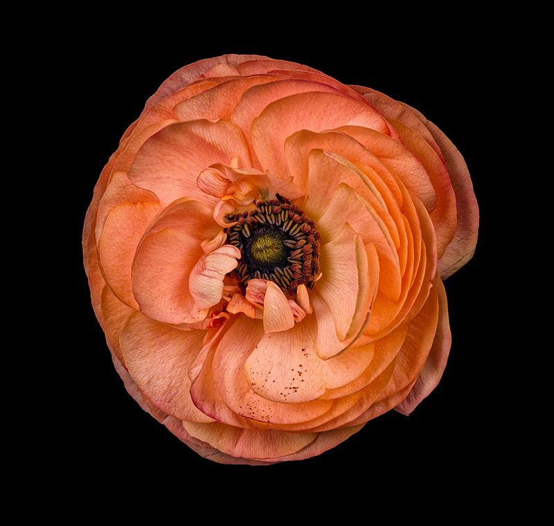 2025-04-01-14.48.08 ZS PMax_openWith.jpg
