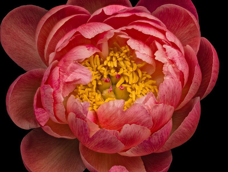 2025-04-11-12.26.07 ZS PMax_openWith.jpg