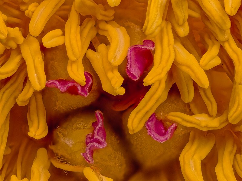 2025-04-11-14.17.26 ZS PMax_openWith.jpg