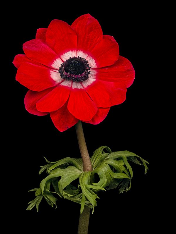 2025-04-12-12.43.54 ZS PMax_openWith.jpg