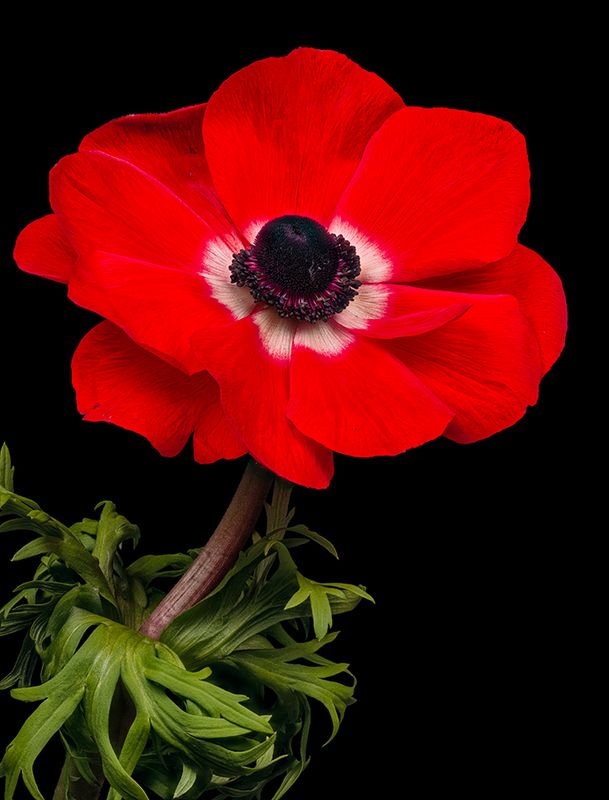 2025-04-11-15.07.31 ZS PMax_openWith.jpg