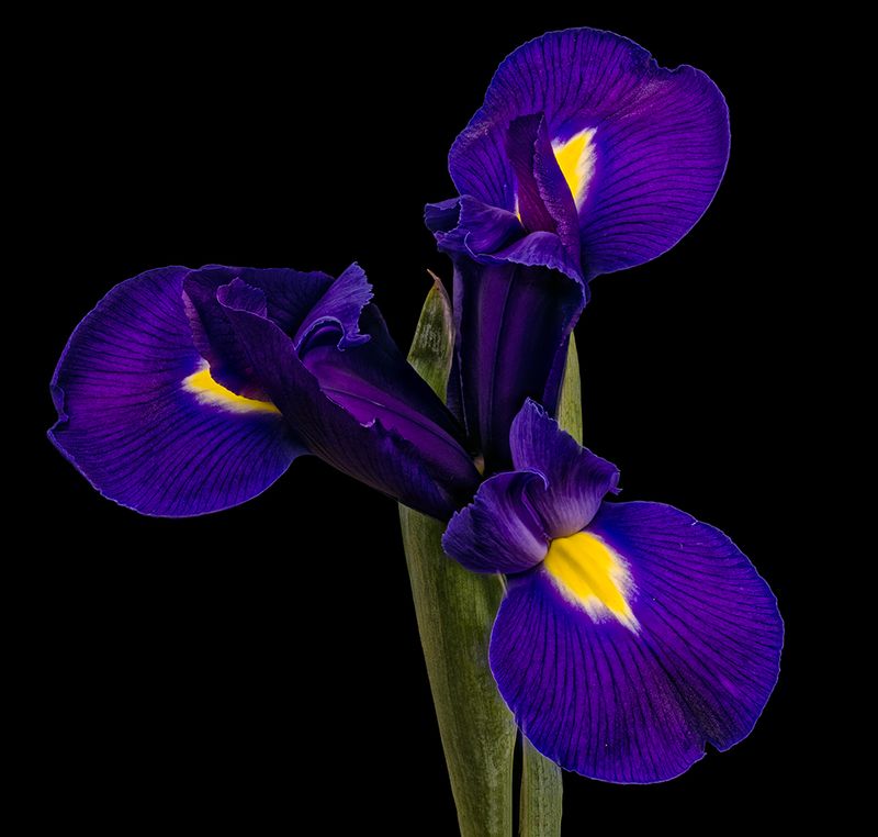 2025-04-24-14.18.44 ZS PMax_openWith.jpg