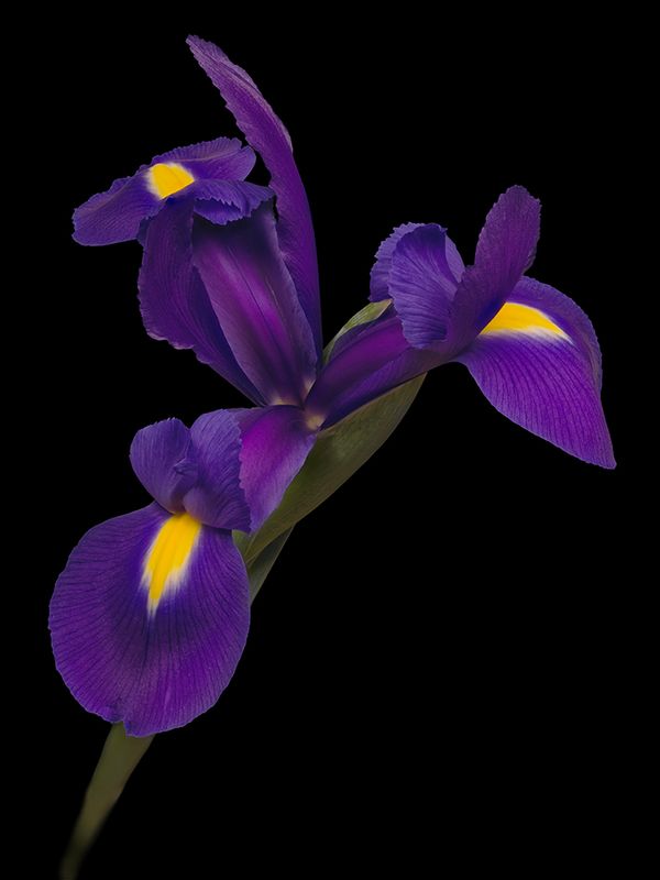2025-04-26-12.09.07 ZS PMax_openWith.jpg