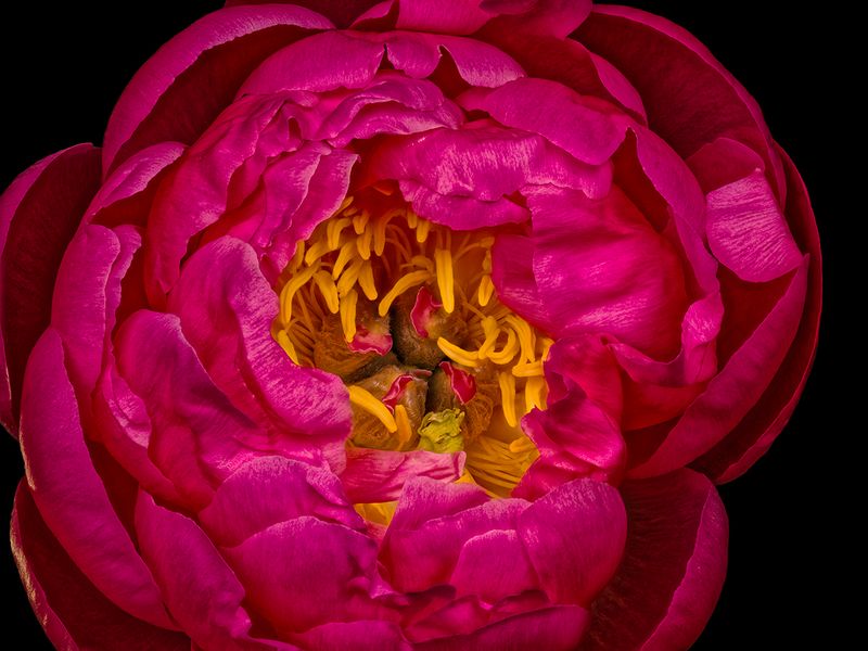 2025-04-28-14.02.39 ZS PMax_openWith.jpg