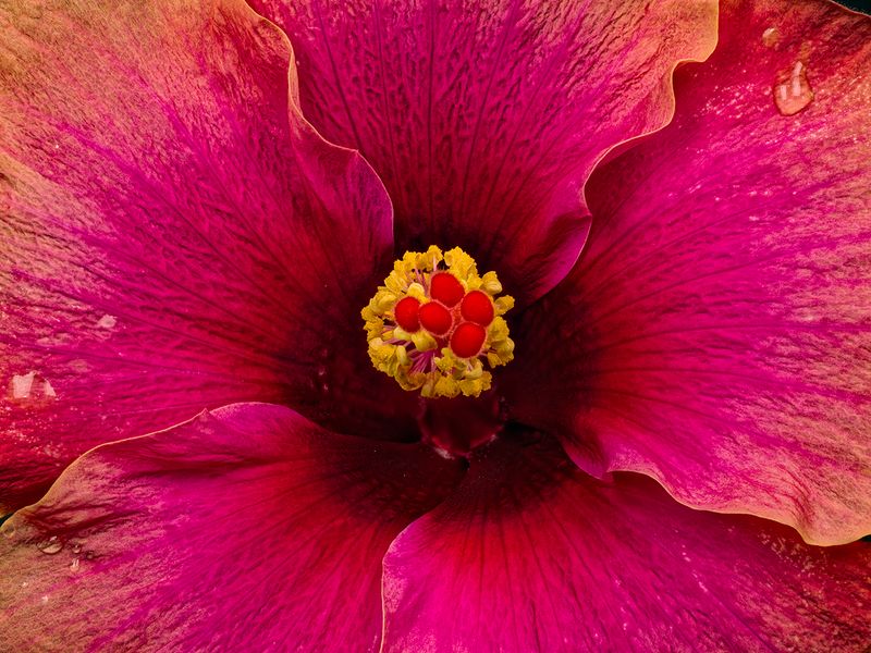 2025-05-04-10.02.38 ZS retouched_openWith.jpg