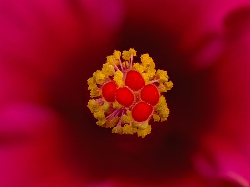 2025-05-04-10.57.12 ZS retouched_openWith.jpg