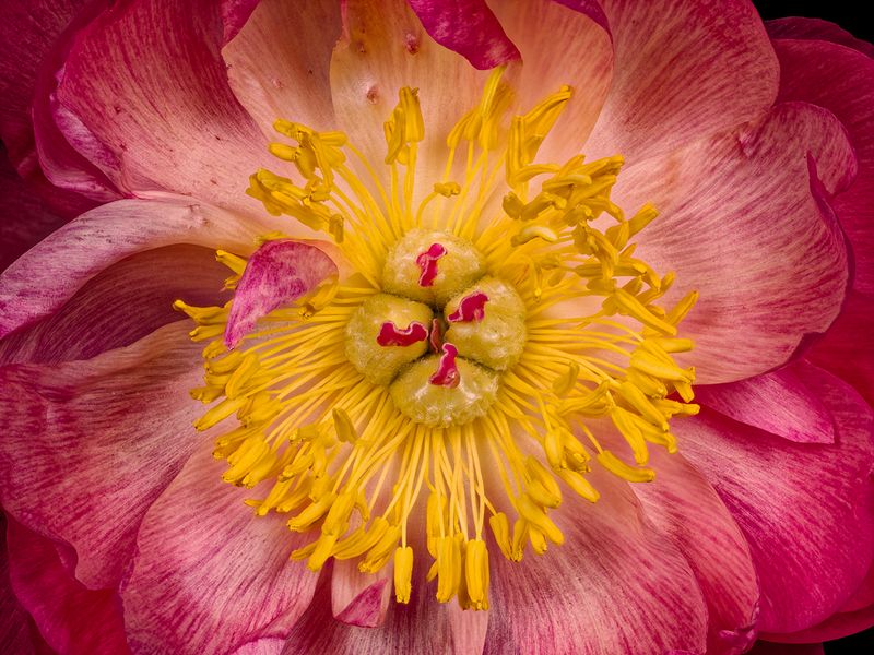 2025-05-05-13.48.04 ZS PMax_openWith.jpg