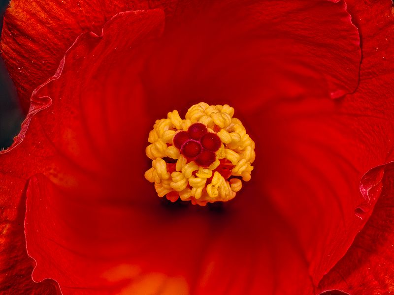 2025-05-11-13.31.10 ZS PMax_openWith.jpg