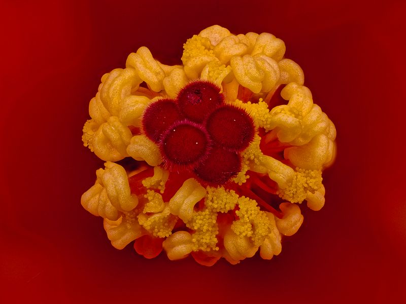 2025-05-11-16.27.30 ZS retouched_openWith.jpg