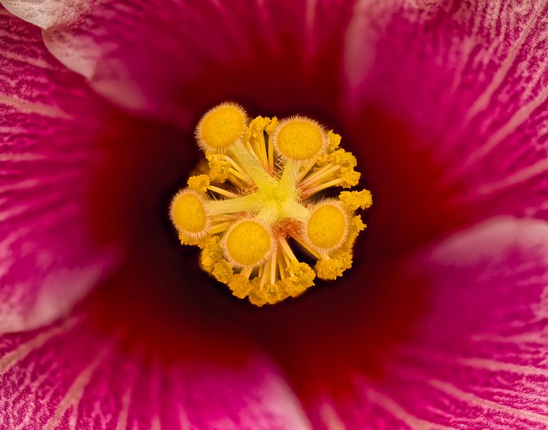 2025-05-22-10.51.06 ZS retouched_openWith.jpg