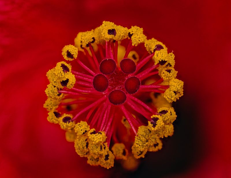 2025-05-25-10.38.19 ZS retouched_openWith.jpg