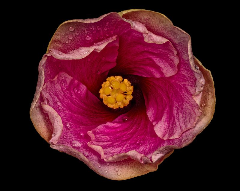 2025-05-31-12.24.53 ZS retouched_openWith.jpg