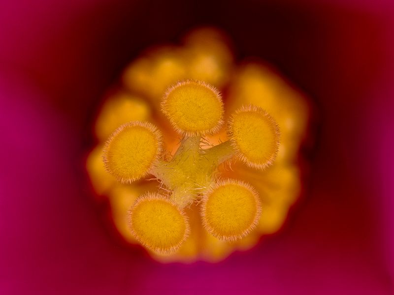 2025-05-31-14.03.46 ZS PMax_openWith.jpg