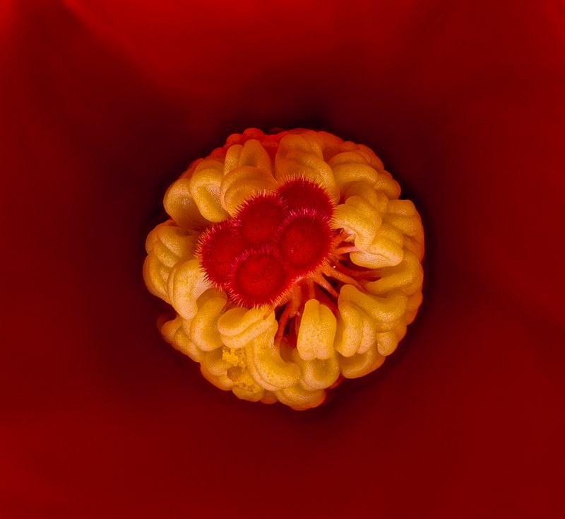 2025-06-03-11.03.56 ZS PMax_openWith.jpg