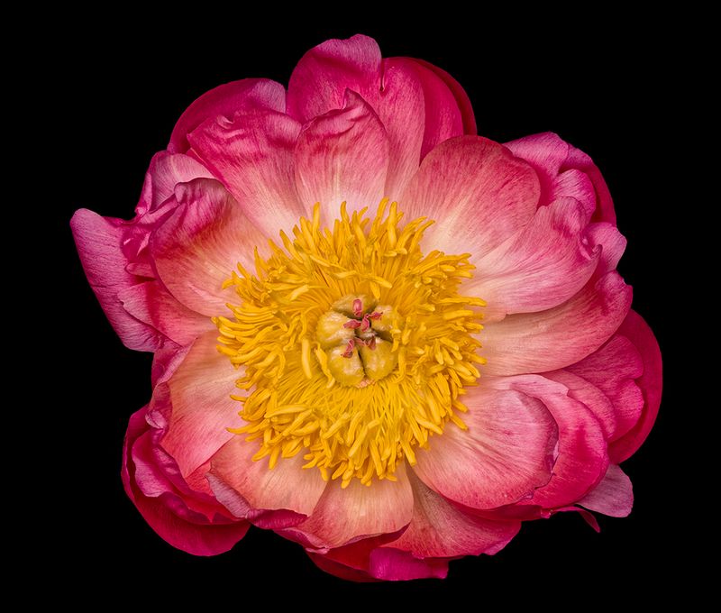 2025-06-04-16.25.51 ZS PMax_openWith.jpg