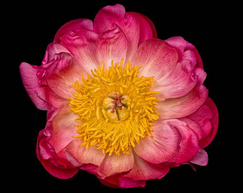 2025-06-04-16.16.08 ZS PMax_openWith.jpg