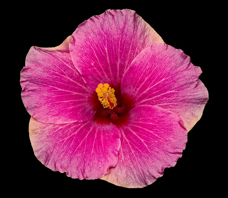 2025-06-07-12.44.32 ZS retouched_openWith.jpg