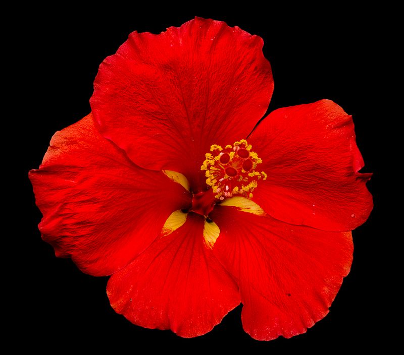 2025-06-07-13.06.52 ZS retouched_openWith.jpg