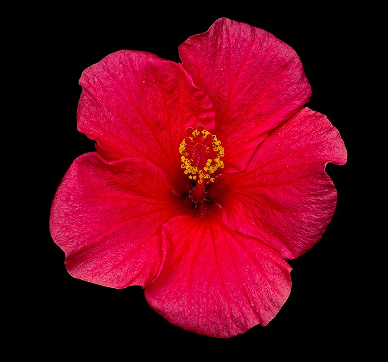 2025-06-07-13.34.36 ZS retouched_openWith.jpg