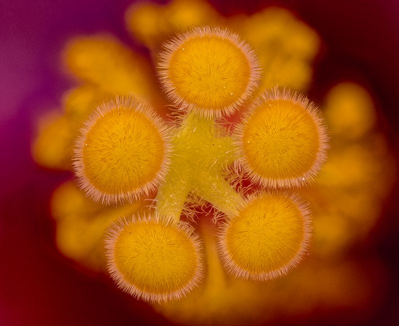 2025-06-09-10.00.06 ZS PMax_openWith.jpg