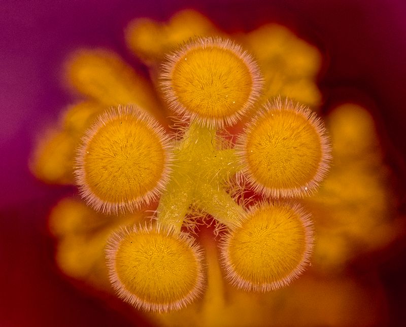 2025-06-09-10.24.41 ZS PMax_openWith.jpg