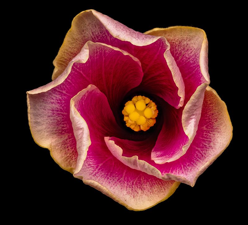 2025-06-11-15.26.41 ZS PMax_openWith.jpg