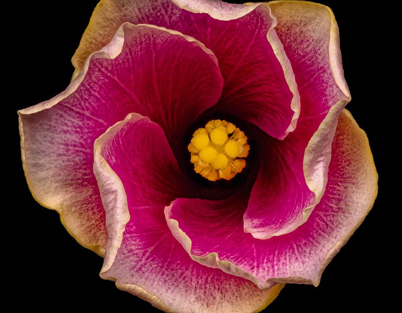 2025-06-11-14.51.19 ZS PMax_openWith.jpg