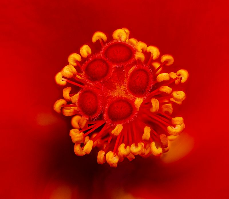 2025-06-15-10.36.18 ZS PMax_openWith.jpg