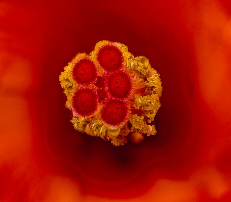 2025-06-16-18.11.01 ZS retouched_openWith.jpg