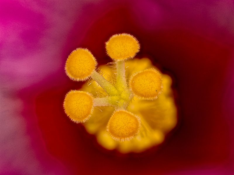 2025-07-01-10.45.18 ZS PMax_openWith.jpg