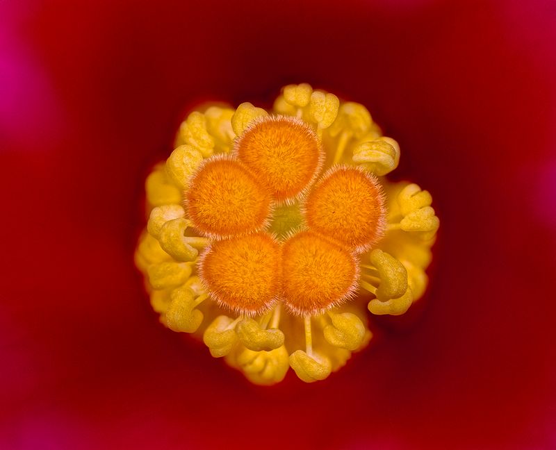 2025-07-04-09.47.11 ZS retouched_openWith.jpg