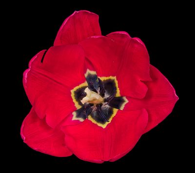 2022-12-11-01.50.04 ZS PMax_openWith.jpg