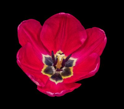2022-12-12-09.09.16 ZS PMax_openWith.jpg