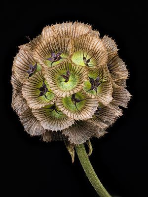 2023-01-20-02.23.55 ZS PMax_openWith.jpg