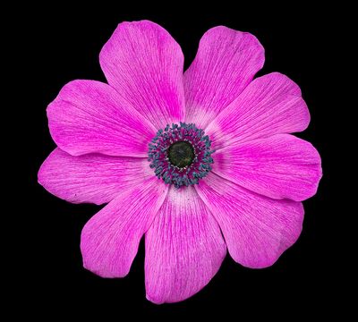 2023-01-27-12.55.56 ZS PMax_openWith.jpg