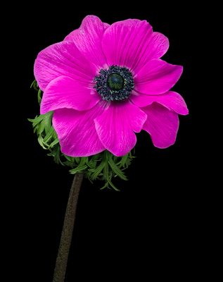 2023-01-28-10.21.13 ZS PMax_openWith.jpg