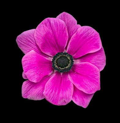 2023-02-20-12.15.53 ZS PMax_openWith.jpg
