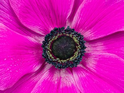 2023-02-20-12.52.12 ZS PMax_openWith.jpg