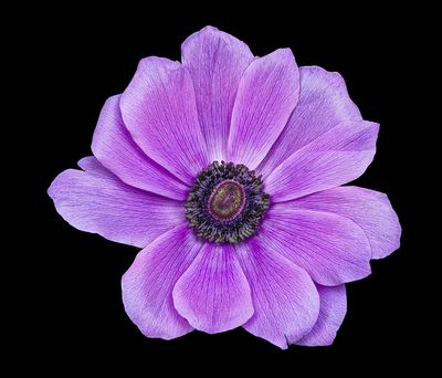 2023-02-21-09.59.15 ZS PMax_openWith.jpg