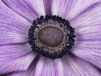 2023-02-25-03.39.43 ZS PMax_openWith.jpg