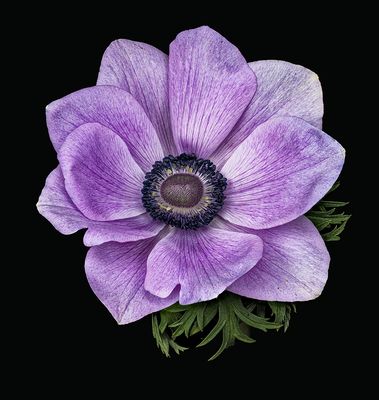 2023-02-26-11.11.57 ZS PMax_openWith.jpg