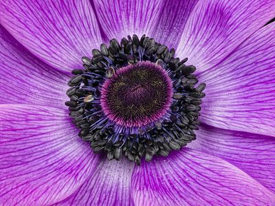2023-02-26-01.33.01 ZS PMax_openWith.jpg