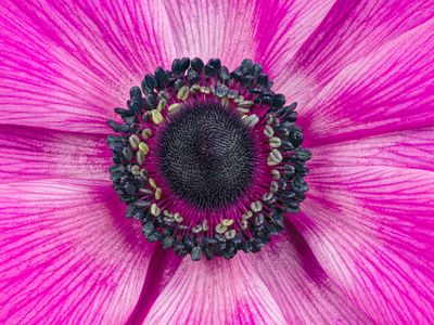 2023-03-03-04.30.43 ZS PMax_openWith.jpg
