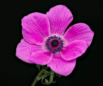 2023-03-04-04.28.13 ZS PMax_openWith.jpg