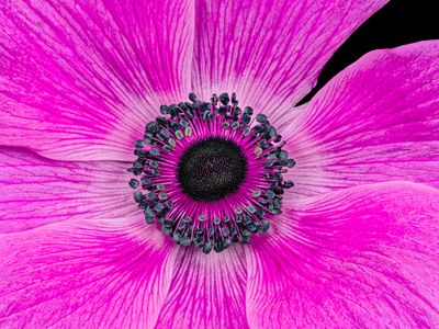 2023-03-04-05.42.51 ZS PMax_openWith.jpg