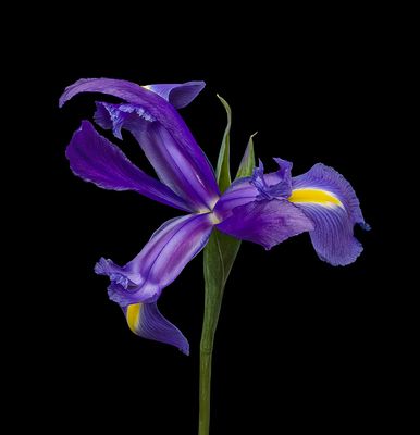 2023-03-15-10.07.01 ZS PMax_openWith.jpg